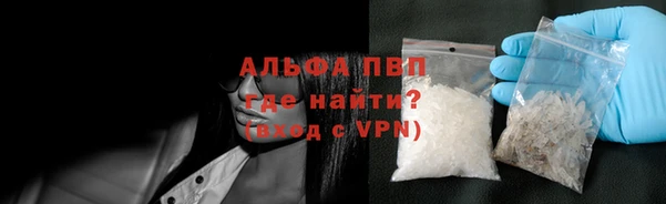 хмурый Белокуриха