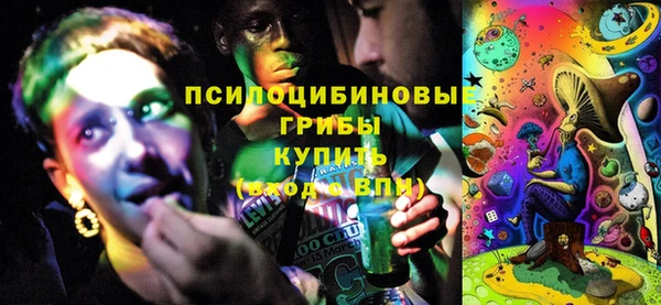 хмурый Белокуриха