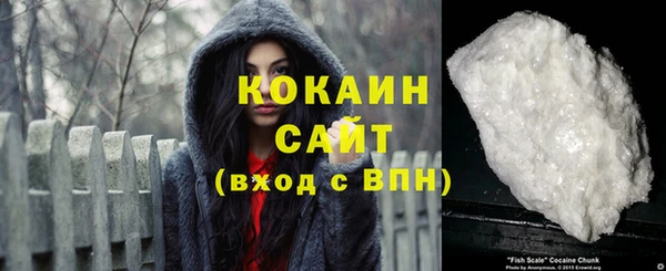 хмурый Белокуриха