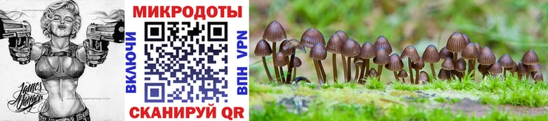 Галлюциногенные грибы Cubensis  цены   blacksprut ссылки  Невьянск 